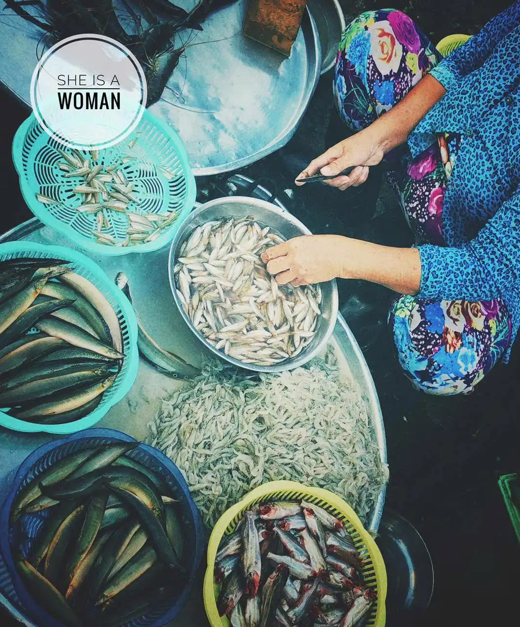 Người Phụ Nữ Việt Nam – Bình Thường mà Phi Thường, Giản Dị mà Phi Phàm