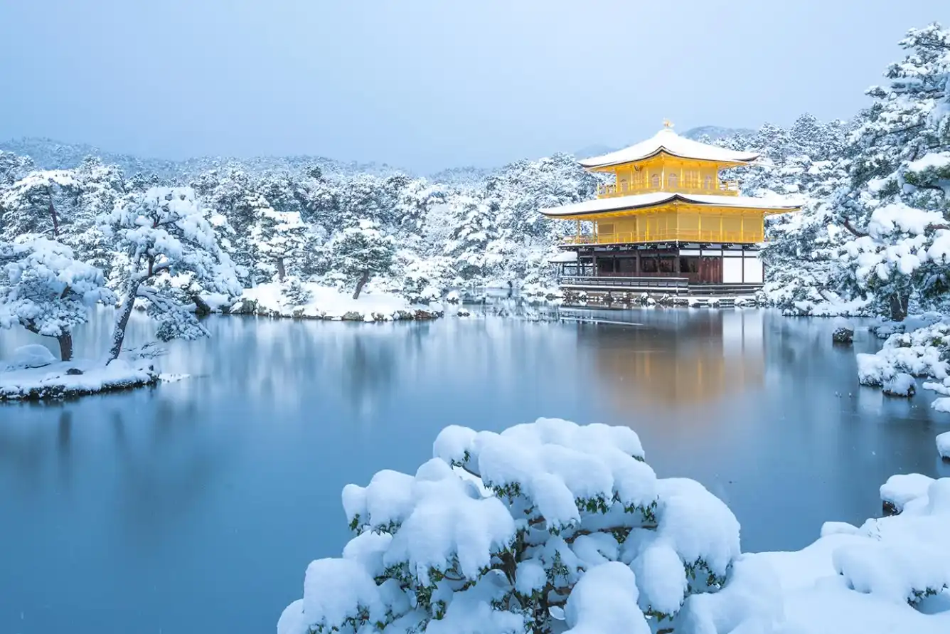 Khám phá mùa đông xứ sở hoa anh đào